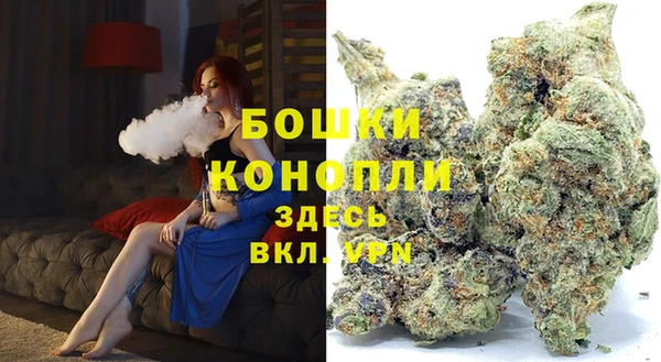 PSILOCYBIN Бородино