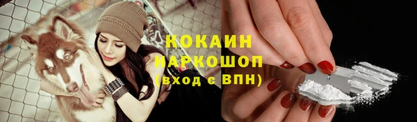 PSILOCYBIN Бородино