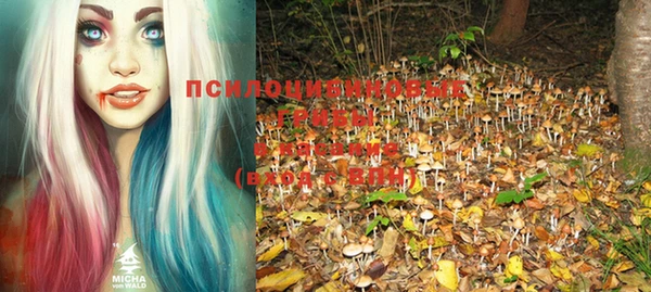PSILOCYBIN Бородино