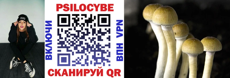 дарнет шоп  Валдай  shop какой сайт  Псилоцибиновые грибы Cubensis 